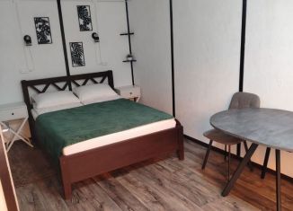 Дом в аренду, 20 м2, Республика Алтай, улица Кошурникова, 4