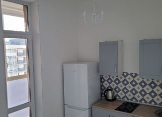 Квартира в аренду студия, 26 м2, Мурино, Ручьёвский проспект, 15, ЖК Айди Мурино