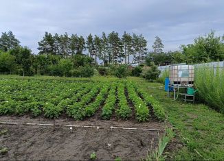 Продается дача, 20 м2, СНТ Дон, Берёзовая улица