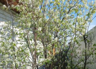 Дача на продажу, 30 м2, Курган, Центральная улица