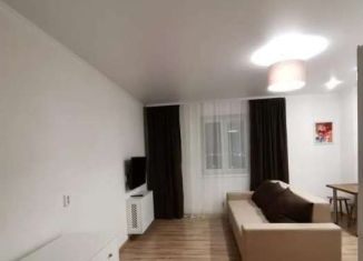 Сдам в аренду квартиру студию, 28 м2, Тюмень, Верхнетарманская улица, 3, ЖК Новый Мыс 2.0