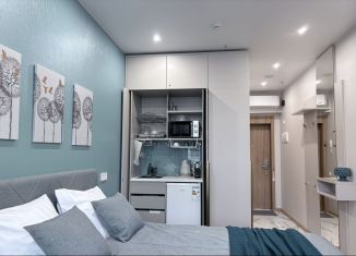 Сдам квартиру студию, 21.5 м2, Санкт-Петербург, Приморское шоссе, 570Л