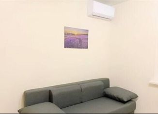 Сдаю в аренду квартиру студию, 23 м2, Люберцы, Инициативная улица, 7В, ЖК Облака