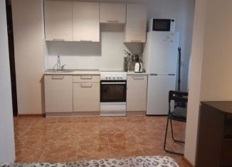 Квартира в аренду студия, 27 м2, Люберцы, улица Дружбы, 7к2, ЖК Люберцы 2016