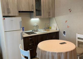 Квартира в аренду студия, 25 м2, Гатчина, улица Хохлова, 16