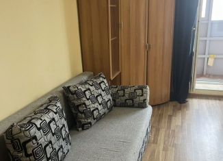 Квартира в аренду студия, 27 м2, Мурино, Привокзальная площадь, 1Ак1, ЖК Мечта