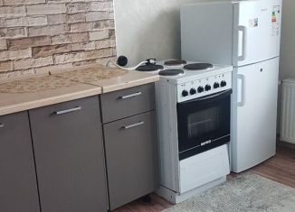 Сдается в аренду 1-ком. квартира, 38 м2, Краснодар, улица Героя Владислава Посадского, 49, микрорайон Восточно-Кругликовский