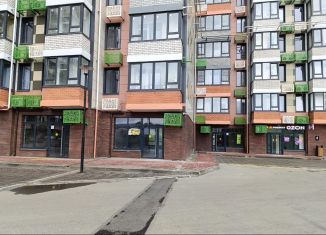 Сдаю помещение свободного назначения, 64.2 м2, Ростов-на-Дону, улица Нансена, 109/2, Октябрьский район