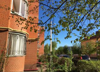 Однокомнатная квартира в аренду, 41 м2, посёлок фабрики имени 1 Мая, посёлок Фабрики имени 1 Мая, 19