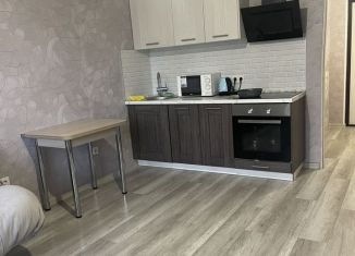 Сдам в аренду квартиру студию, 27 м2, поселок Бугры, Нижняя улица