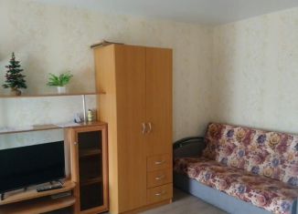 Сдается 1-ком. квартира, 28 м2, Карелия, Фонтанный проезд, 34