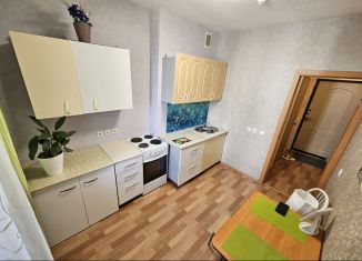 Сдается однокомнатная квартира, 40 м2, Пермь, улица Чернышевского, 17А, ЖК Альпийская Горка