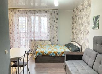 Сдача в аренду квартиры студии, 23.5 м2, Сыктывкар, улица Пушкина, 63, ЖК Графика