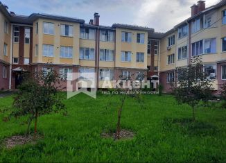 Аренда 1-ком. квартиры, 33.4 м2, деревня Дерябиха, деревня Дерябиха, 62