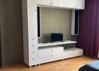 1-ком. квартира в аренду, 46.9 м2, Горно-Алтайск, улица Мичурина, 2