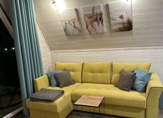 Сдается дом, 60 м2, деревня Бакино, Зареченская улица, 33