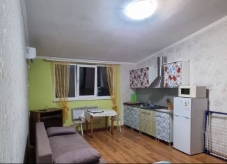 Квартира в аренду студия, 27 м2, Сочи, улица Чебрикова, 50, микрорайон Ареда