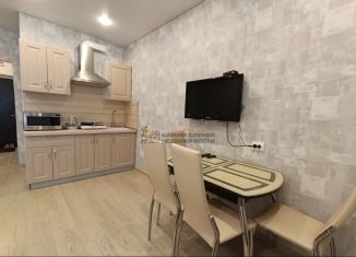 Сдается в аренду 1-комнатная квартира, 30 м2, Республика Башкортостан, проспект Дружбы Народов, 57/1