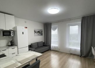 Сдается квартира студия, 24.9 м2, Люберцы, улица 8 Марта, 18к1, ЖК Люберцы Парк