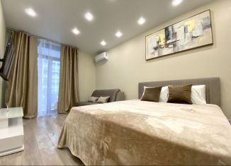 Сдаю однокомнатную квартиру, 38 м2, Сочи, Ясногорская улица, 16/2к8