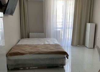 Сдаю в аренду квартиру студию, 26 м2, Сочи, улица Искры, 88к10, микрорайон Кудепста