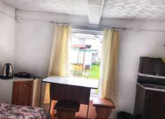 Дом в аренду, 40 м2, поселок Аршан, Трактовая улица, 66