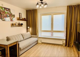 Сдача в аренду квартиры студии, 22 м2, Люберцы, улица Лётчика Ларюшина, 4/1, ЖК Жулебино Парк