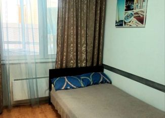 Сдается квартира студия, 20 м2, Москва, Покровская улица, 21, ЖК Некрасовка-Парк