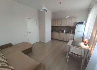 Аренда квартиры студии, 30 м2, посёлок Мирный, Крымская улица, 8