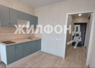 Продаю квартиру студию, 26.2 м2, Новосибирск, Красный проспект, 323, ЖК Онега