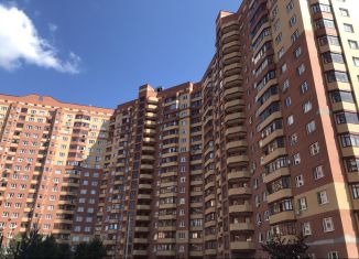 Продается 2-комнатная квартира, 60 м2, деревня Щемилово, улица Орлова, 2