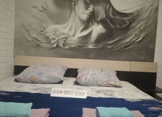 Аренда дома, 36 м2, село Окунёвка, улица Крупской, 57