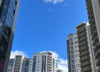 Продам 3-комнатную квартиру, 87 м2, Санкт-Петербург, Русановская улица, 17к2, ЖК Ласточкино Гнездо