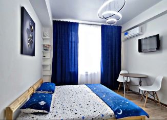 Квартира в аренду студия, 25 м2, Самара, улица Гагарина, 141, метро Победа