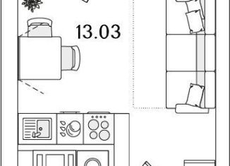 Продаю квартиру студию, 20.3 м2, Санкт-Петербург, муниципальный округ Финляндский