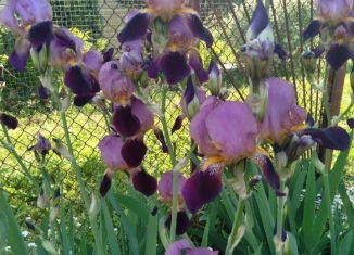 Продаю дачу, 10 м2, Курск