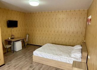 Сдается в аренду дом, 30 м2, посёлок Тульский, Западная улица, 77