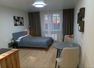 Продам квартиру студию, 30 м2, посёлок Парголово, Заречная улица, 13к3, ЖК На Заречной