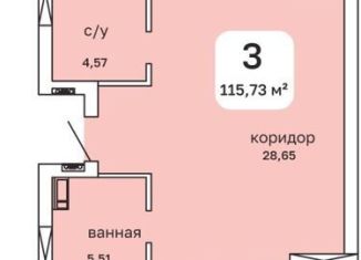 Трехкомнатная квартира на продажу, 115.7 м2, Пермь, Пушкарская улица, 142А