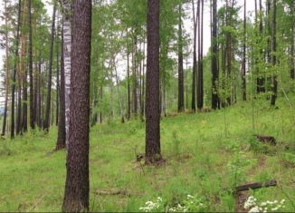 Продам участок, 10 сот., посёлок Еловый, Космическая улица, 1