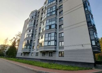 Продам однокомнатную квартиру, 46 м2, Зеленогорск, Разъезжая улица, 7
