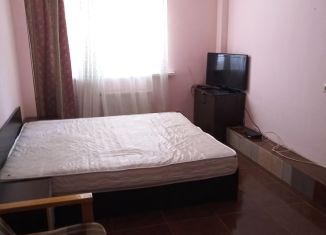 1-комнатная квартира в аренду, 26 м2, село Краевско-Армянское, Измайловская улица, 6