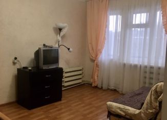 Сдача в аренду 1-комнатной квартиры, 32 м2, Нижегородская область, Южное шоссе, 52
