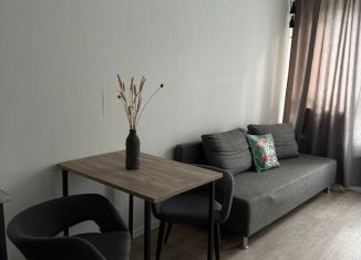 Сдается в аренду квартира студия, 37 м2, Иркутск, переулок МОПРа, 6