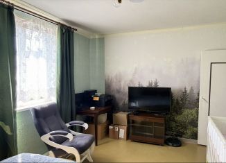 Двухкомнатная квартира на продажу, 57.8 м2, Санкт-Петербург, проспект Солидарности, 3к2