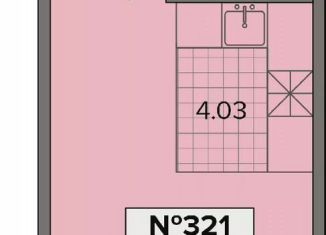 Продажа квартиры студии, 25.7 м2, деревня Новое Девяткино, Лесная улица, 19