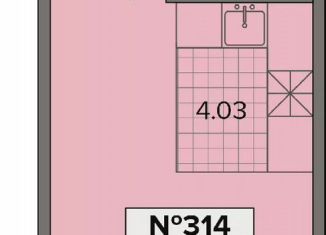 Квартира на продажу студия, 25.7 м2, деревня Новое Девяткино, Лесная улица, 19