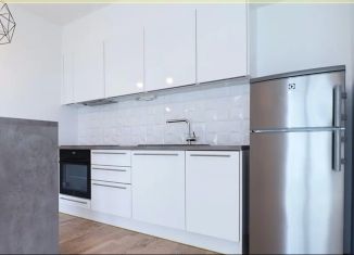 Продажа квартиры студии, 23 м2, Санкт-Петербург, Гатчинская улица, 12, муниципальный округ Петровский