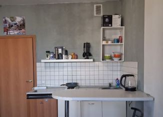 Продажа квартиры студии, 24.7 м2, деревня Новое Девяткино, Главная улица, 58