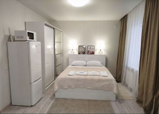 Сдача в аренду квартиры студии, 28.2 м2, Ростов-на-Дону, улица Дмитрия Петрова, Октябрьский район